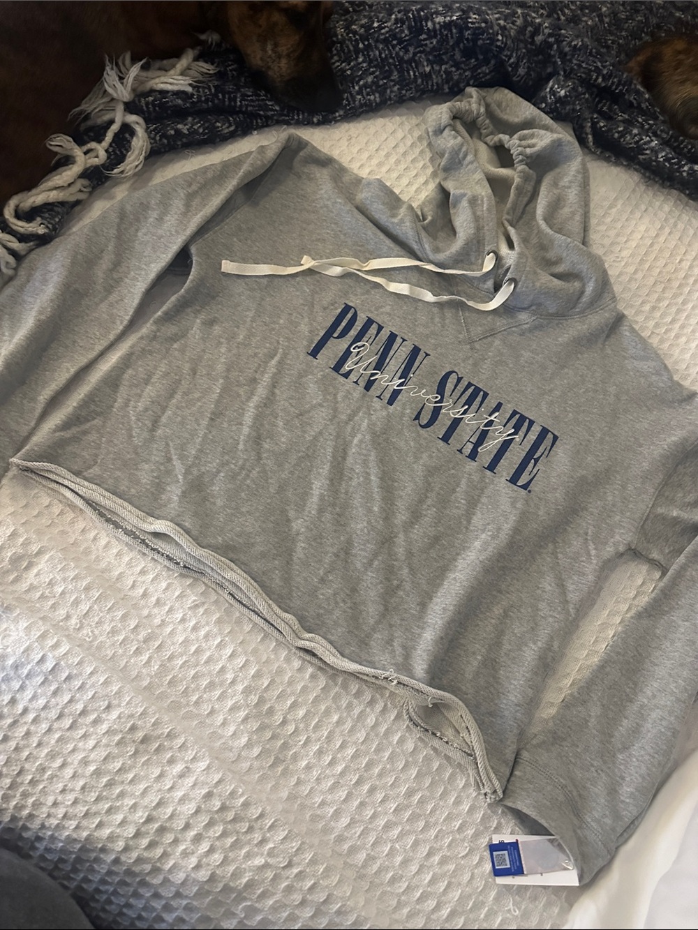Penn State Gray Cropped Hoodie - Blue Logo